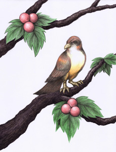 Bird on a Branch with Berries
